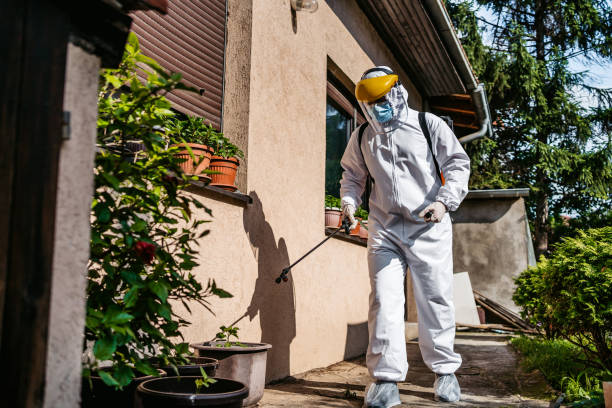 Reliable Pittsburg, TX Pest Control Solutions