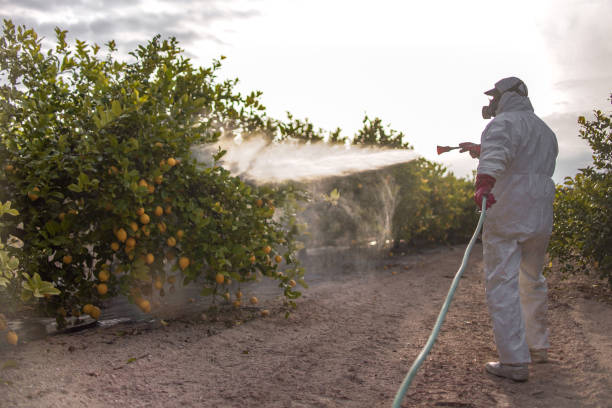 Best Emergency Pest Control  in Pittsburg, TX