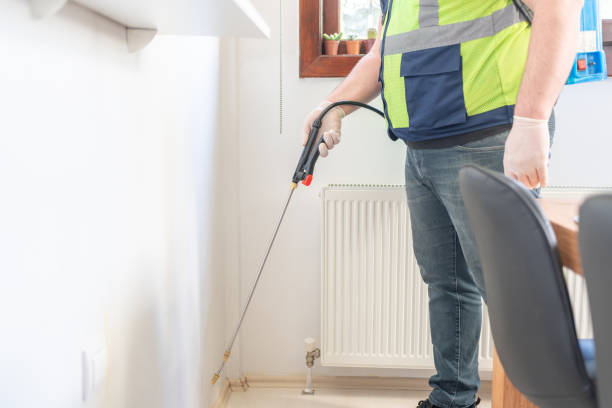 Best Rat Extermination Near Me  in Pittsburg, TX