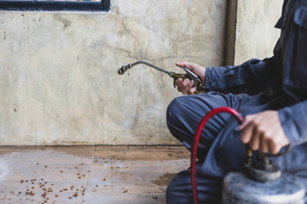 Best Pest Removal Services  in Pittsburg, TX